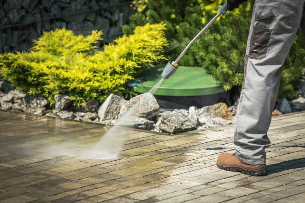 Reliable Eddyville, IA Pressure Washing Services Solutions
