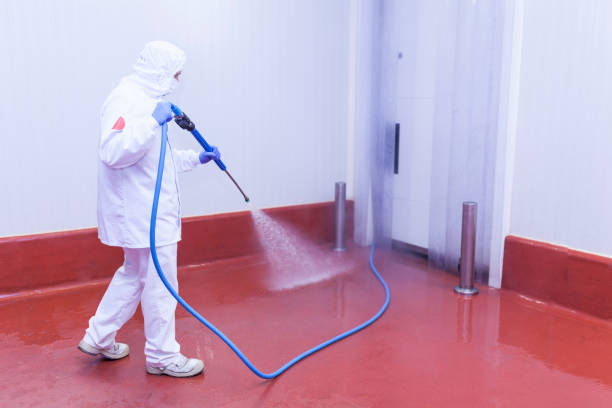 Best Window and Screen Pressure Cleaning in Eddyville, IA